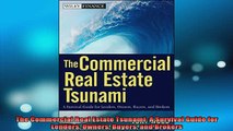 READ FREE Ebooks  The Commercial Real Estate Tsunami A Survival Guide for Lenders Owners Buyers and Brokers Online Free