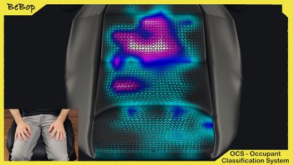 OCS - Occupant Classification System