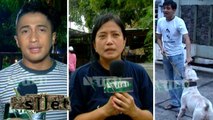 Kisah Seorang Dokter Pelihara 600 Ekor Anjing - Silet 16 Mei 2016