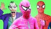 Pink Spidergirl vs Spiderman vs Joker - Pink Spidergirl in Real Life Movie (1080p 60fps)