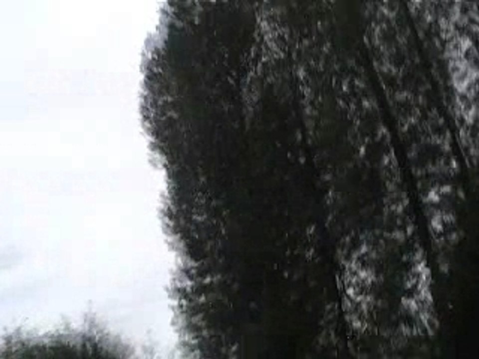 Silver star filmer par moi même XD