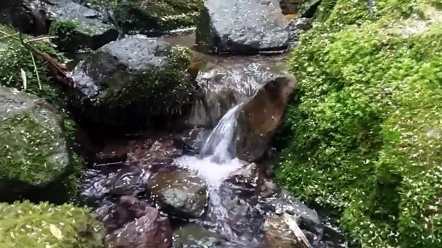 #유성출장마사지,(010-2910-6110),#유성출장안마