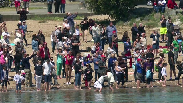 Harmony of the seas : le plus gros paquebot du monde quitte Saint-Nazaire