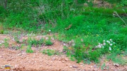 Epic WIN Compilation    August 2015    MonthlyFails