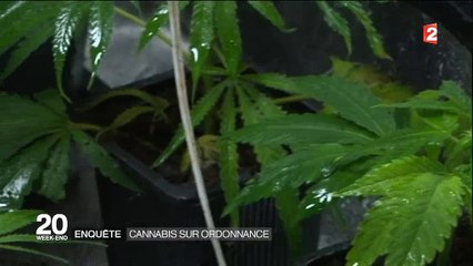 Atteinte d'un cancer, une jeune femme commande sur internet des pilules à base de cannabis ! Regardez