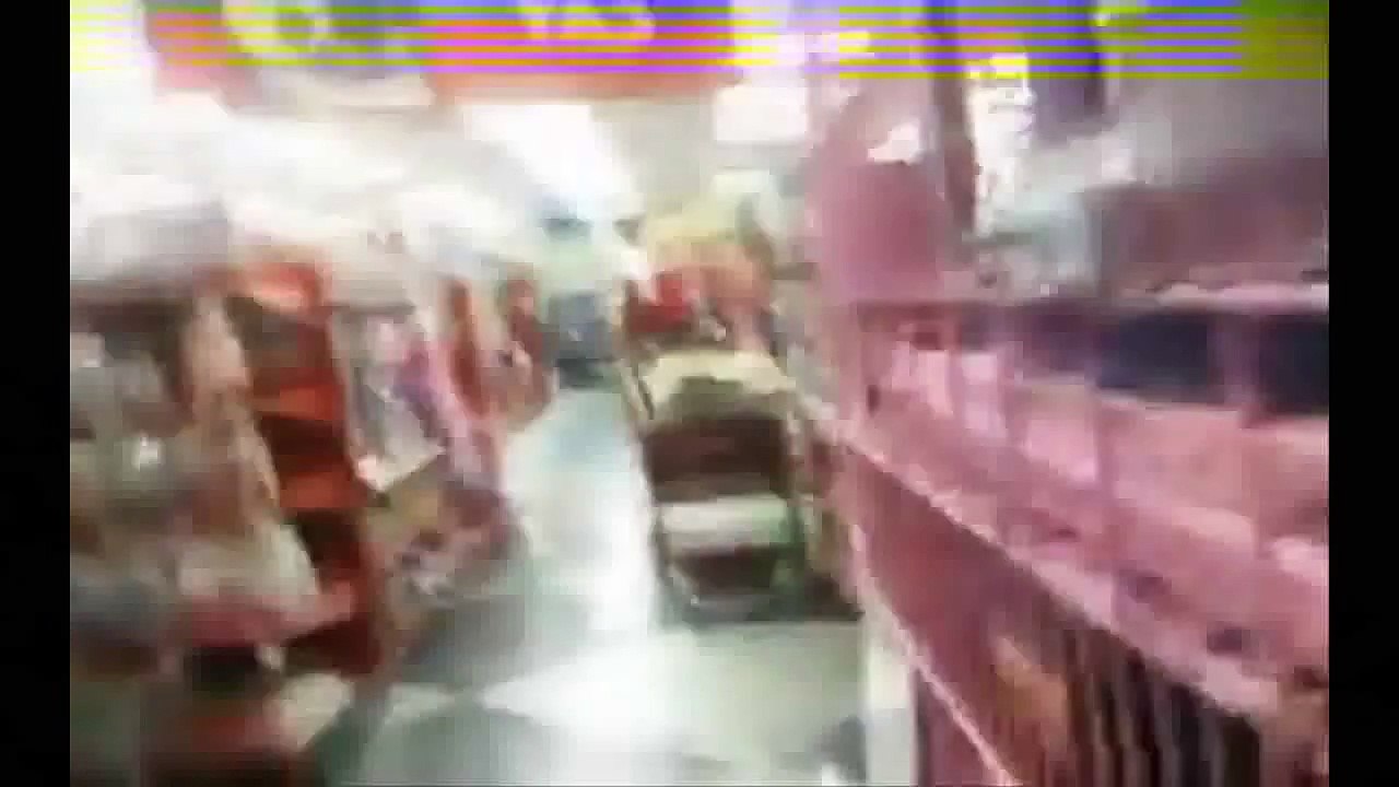 Chat Cat Videos Funny Compilation 2