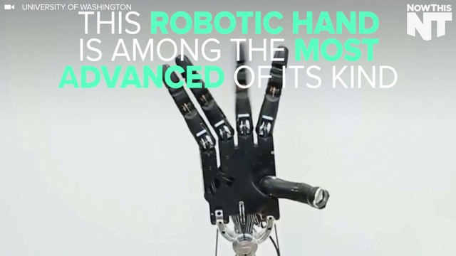A Robotic Hand With A Human Touch