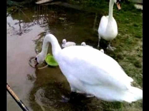 Pêche du moi de juin 2007