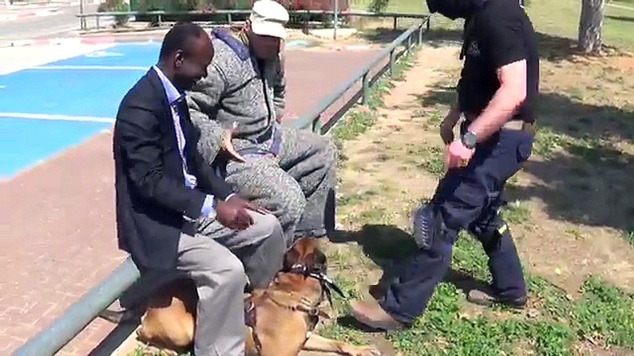 Chien dressé contre les attaques au couteau