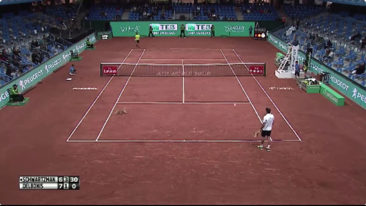 Tennis : Delbonis smashe un chat qui traversait le court