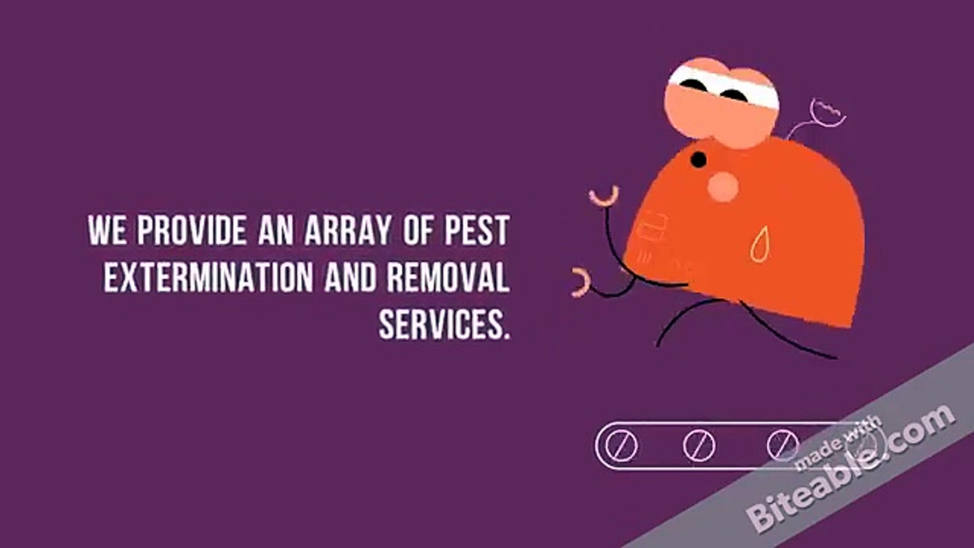 Pest Control Services In Kitchener Waterloo Guelph Cambridge