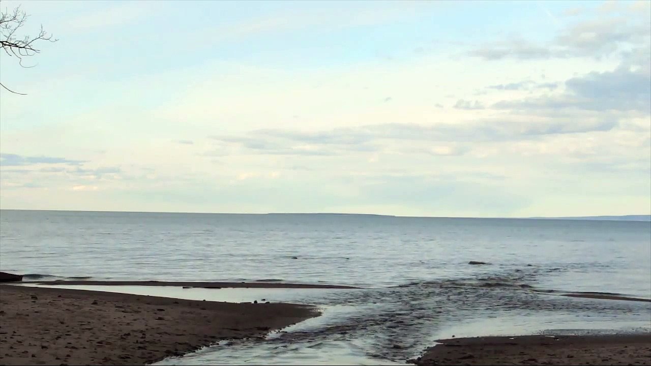 Sons da Água do Mar com Pássaros para Dormir Profundamente