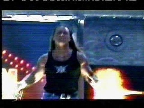 WWE - Bad Blood Promo - Shawn Michaels vs Triple H