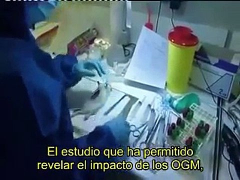 Monsanto, experimentos increibles expériences incroyables
