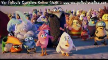 Angry Birds pelicula completa ver en castellano latino
