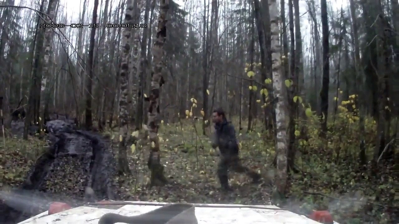 Tree Falls on Head