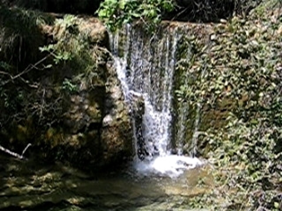 la cascade des chevaux