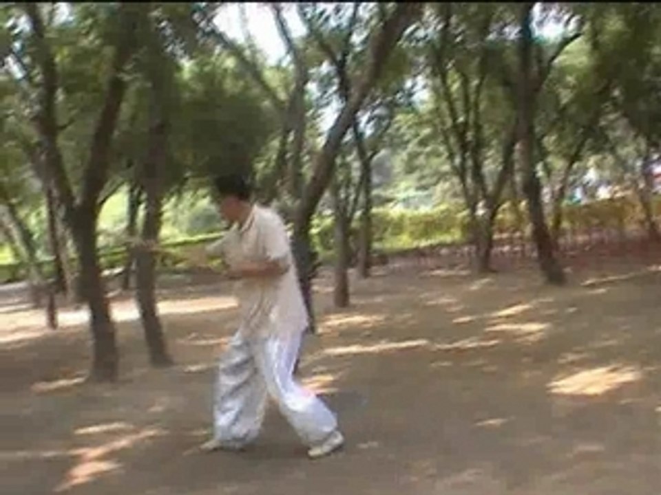 Tai chi Baton