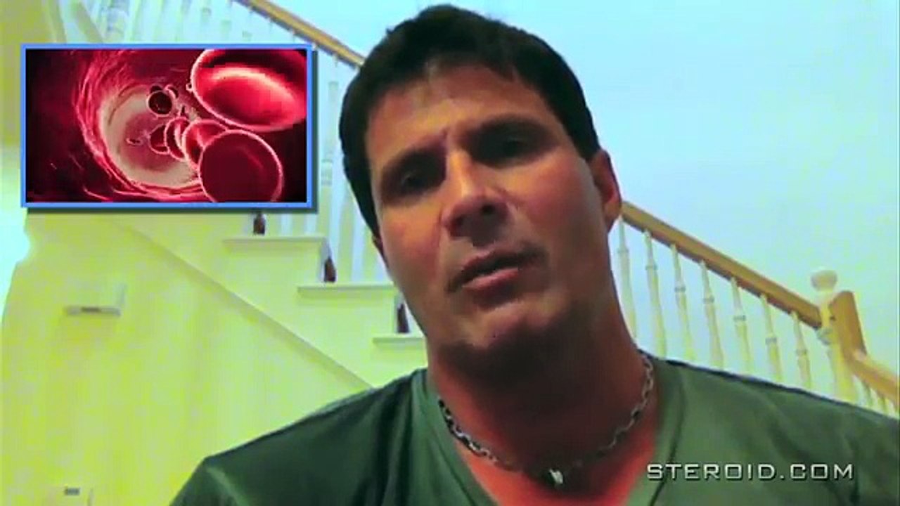 Canseco on Steroids : An Introduction