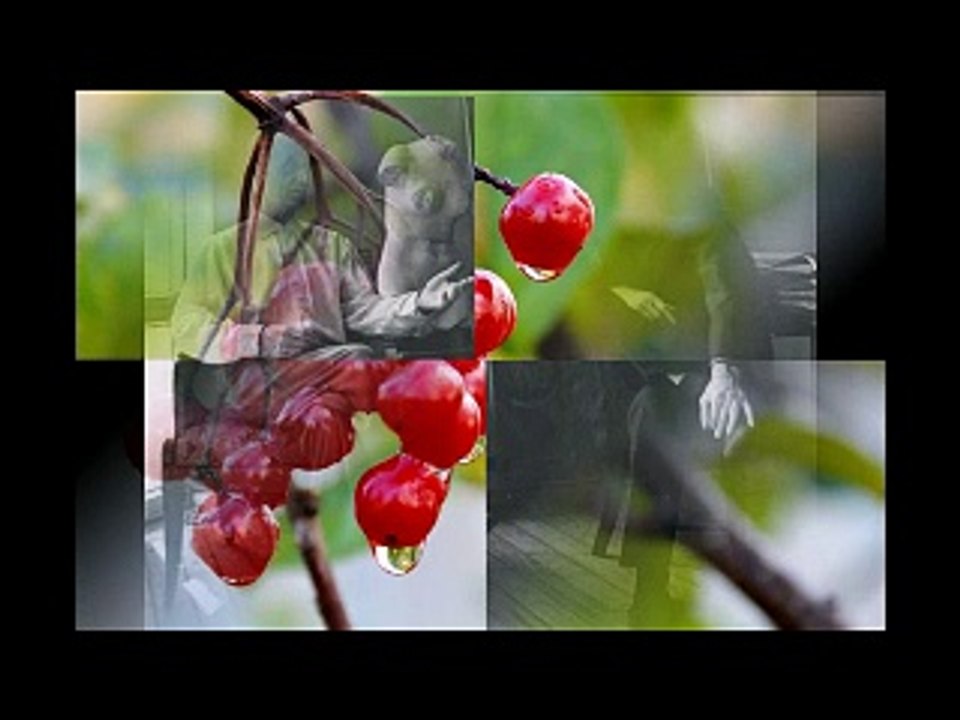С наилучшими пожеланиями...