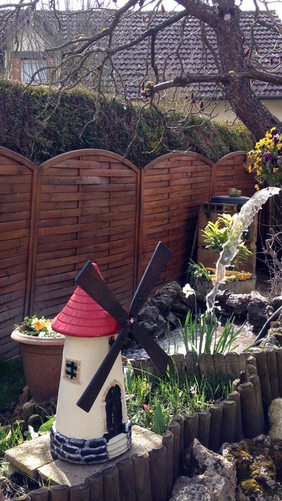 Mon jardin