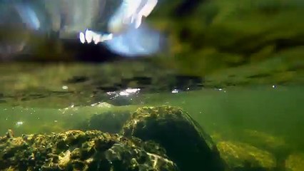 MBT BTS Full Cut 🎬