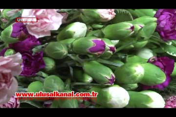 Antalya Çiçek Festivali başlıyor