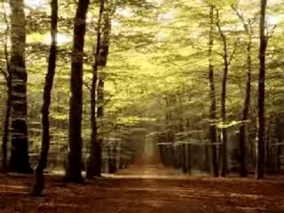 Breath Me-Sia Feat-Ulrich Schanauss