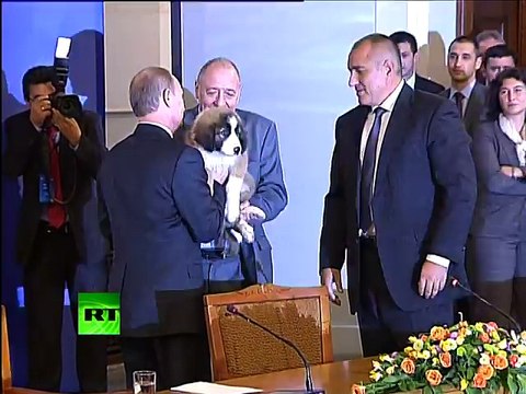 A Dog s Heart Pet lover Putin needs name for fluffy puppy