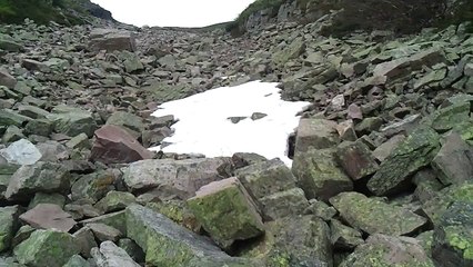 June 29, 2011 2:11 PM