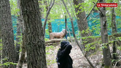 Auray. Tir à l'arc 3D : la chasse à l'ours polaire en forêt