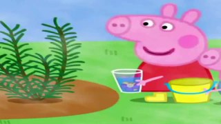 Peppa Pig British Episodes // Perfume - The Children's Fete