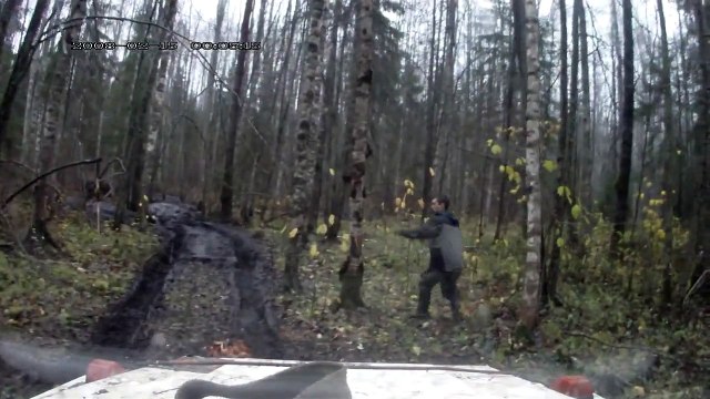 Il veut abattre un arbre avec des coups de pied