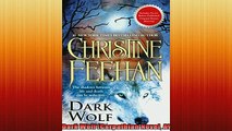 Free PDF Downlaod  Dark Wolf Carpathian Novel A  FREE BOOOK ONLINE