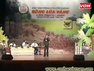 12 Cau phung hoang - Bui trung dang