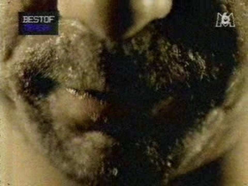 No One Is Innocent - Nomenklatura