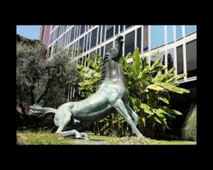 Canone Rai in bolletta Enel: come chiedere l’esenzione dopo il 16 maggio