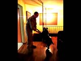 Militare torna dopo 6 mesi, la fantastica reazione del suo cucciolone!