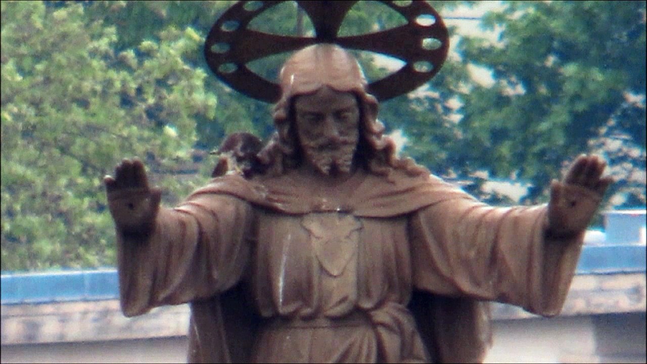 Faucon pèlerin, Nancy (54, FR). Le bras droit du Christ