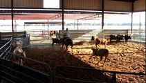 Master Spoon - Spooner - 6/27/12 sorting practice 2 - Valley View Ranch