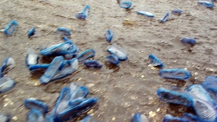 Scalo di Gadir Pantelleria