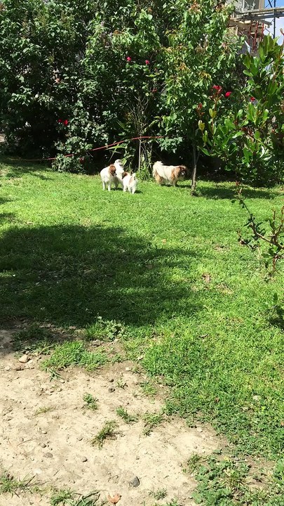 16 Mai 2016 Les bébés s'éclatent