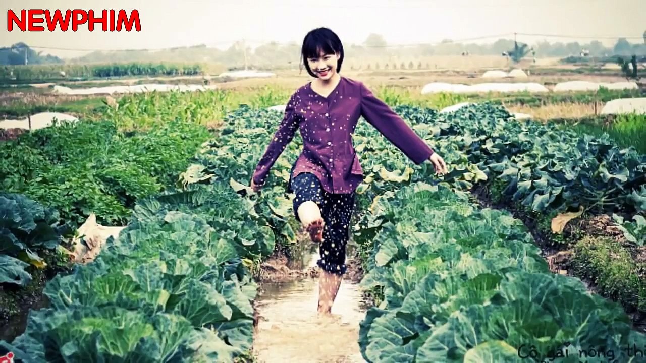 Nhạc Trữ Tình Remix Mấy Nhịp Cầu Tre Tuyển tập nhạc quê hương hay nhất 2015