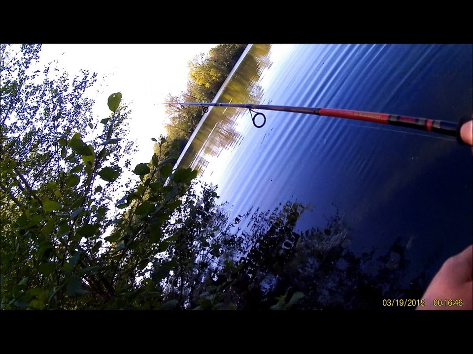 Pike au Striker 4" PERCA's