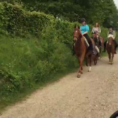 Big horse, Small Horse