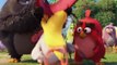 ANGRY BIRDS MOVIE review — Why are these birds so angry?