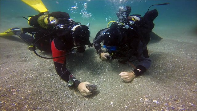 Hallan restos arqueológicos en costas de Israel