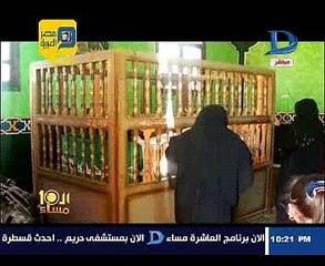 شجرة تشتهر لمعالجة الأمراض بمقام أحد الأولياء بقنا