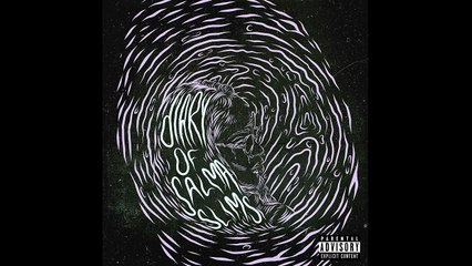 Salma Slims - The Diary