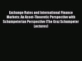 Read Exchange Rates and International Finance Markets: An Asset-Theoretic Perspective with